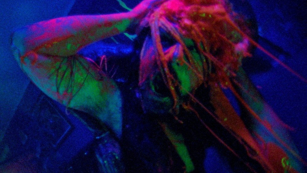 Argentiina spin-off filmist Alien Horror Pic "Jimmy ja Stiggs" hakkab lendama