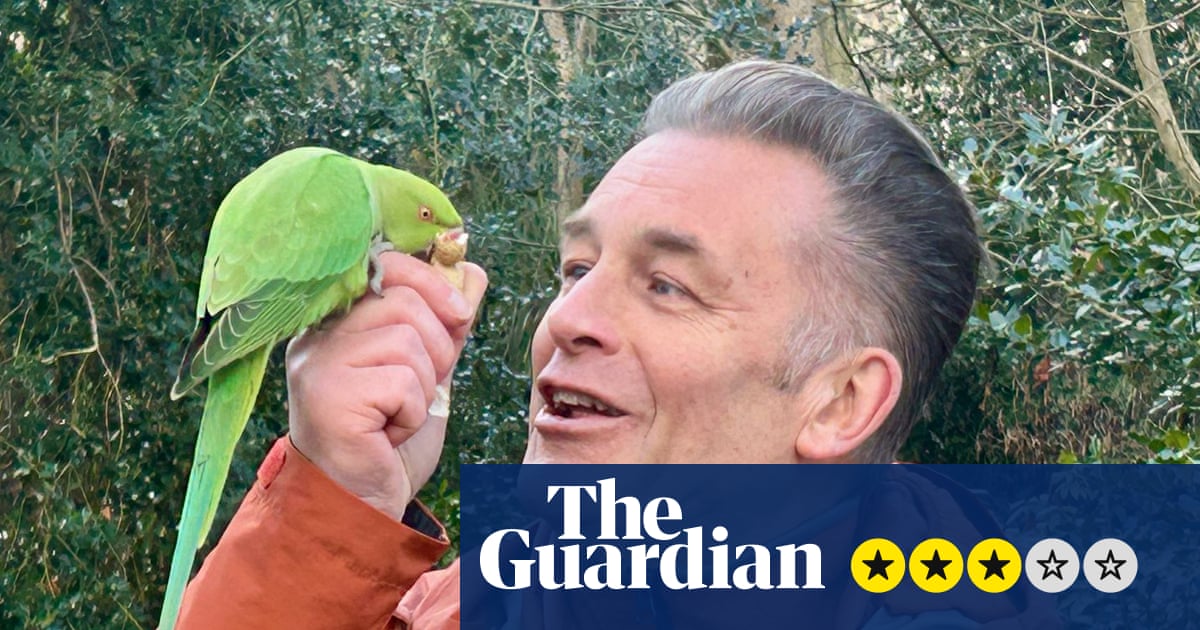 Parakeetsi ülevaate sissetung – kas me peame nüüd tõesti lindudega klassisõda? | Televisioon